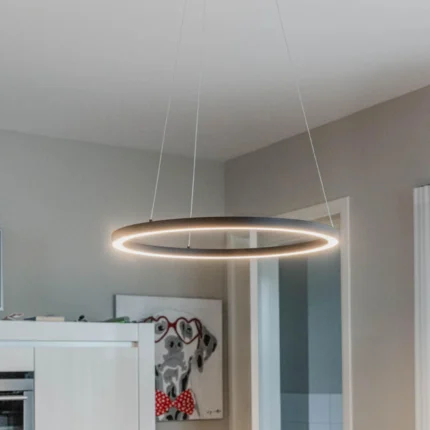 Sezar Tekli Çember Sarkıt Led Avize